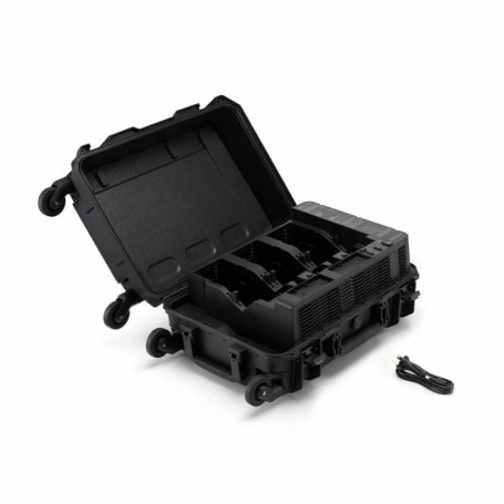 BS100 Intelligent Battery Station