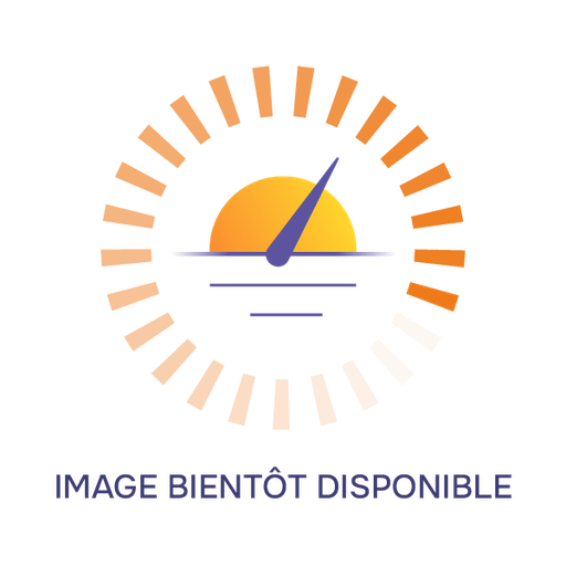 TECHNIDEAL - DISJONCTEUR 16A TRI - PUISSANCE JUSQU'A 9KVA - NF C15-100